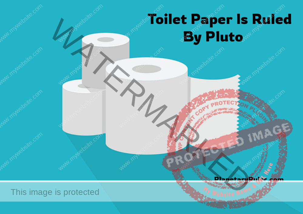 Toilet Paper