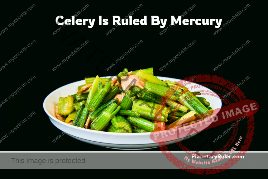 celery