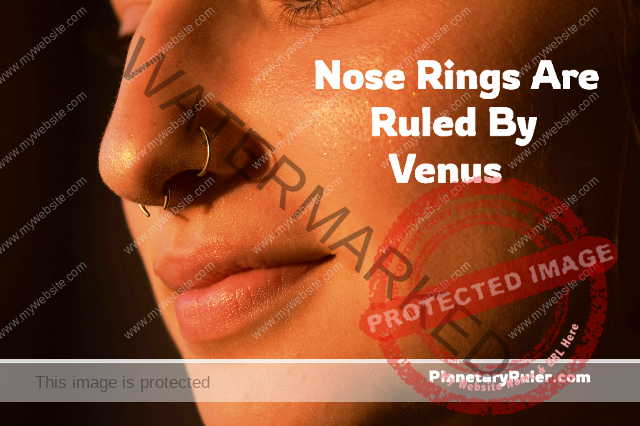 nose rings